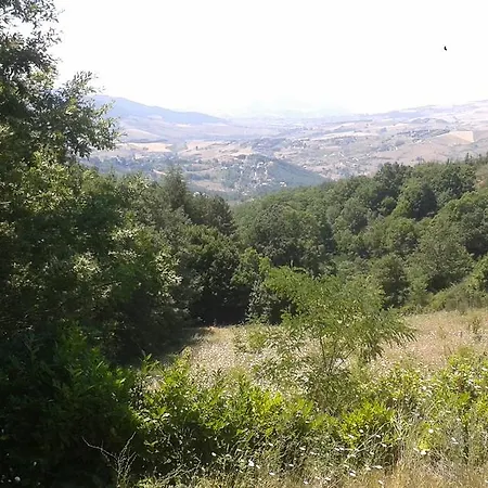Il Roseto *